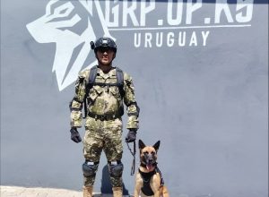 𝐏𝐄𝐑𝐒𝐎𝐍𝐀𝐋 𝐃𝐄 𝐋𝐀 𝐅𝐀𝐏 𝐂𝐔𝐋𝐌𝐈𝐍𝐀 𝐂𝐔𝐑𝐒𝐎 𝐃𝐄 𝐃𝐄𝐓𝐄𝐂𝐂𝐈𝐎́𝐍 𝐃𝐄 𝐄𝐗𝐏𝐋𝐎𝐒𝐈𝐕𝐎𝐒.